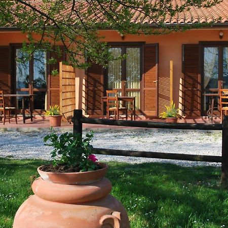 Erba Di Campo Residence Quercianella Eksteriør billede